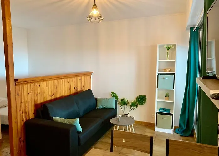 Très Beau à 100m De La De Marinella Ajaccio (Corsica)